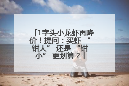 1字头小龙虾再降价！提问：买虾 “钳大” 还是 “钳小” 更划算？