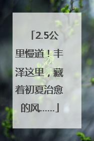 2.5公里慢道！丰泽这里，藏着初夏治愈的风……