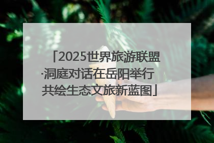 2025世界旅游联盟·洞庭对话在岳阳举行 共绘生态文旅新蓝图