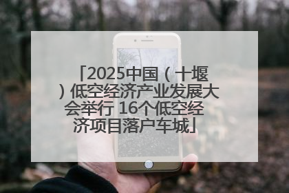 2025中国（十堰）低空经济产业发展大会举行 16个低空经济项目落户车城