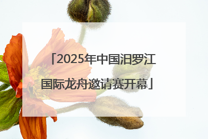 2025年中国汨罗江国际龙舟邀请赛开幕