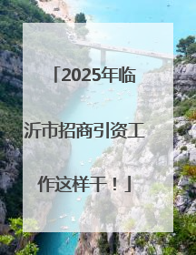 2025年临沂市招商引资工作这样干！