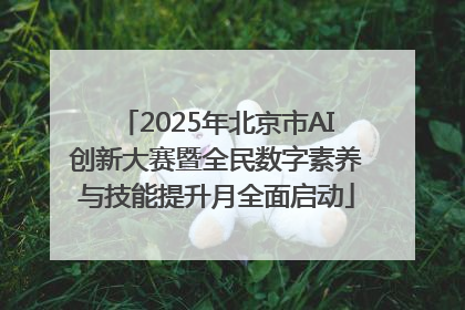 2025年北京市AI创新大赛暨全民数字素养与技能提升月全面启动