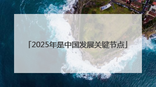 2025年是中国发展关键节点