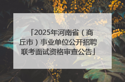 2025年河南省（商丘市）事业单位公开招聘联考面试资格审查公告