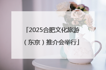 2025合肥文化旅游（东京）推介会举行