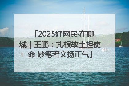 2025好网民·在聊城｜王鹏：扎根故土担使命 妙笔著文扬正气