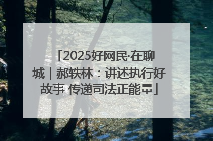 2025好网民·在聊城｜郝轶林：讲述执行好故事 传递司法正能量