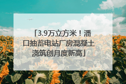 3.9万立方米！潘口抽蓄电站厂房混凝土浇筑创月度新高