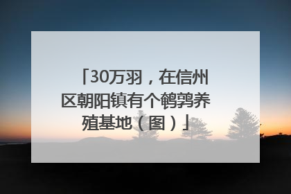 30万羽，在信州区朝阳镇有个鹌鹑养殖基地（图）