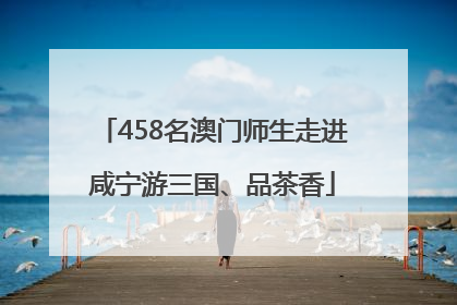 458名澳门师生走进咸宁游三国、品茶香