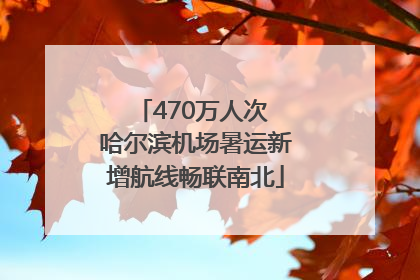 470万人次 哈尔滨机场暑运新增航线畅联南北