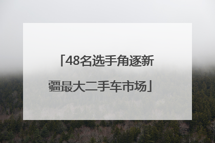 48名选手角逐新疆最大二手车市场