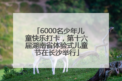 6000名少年儿童快乐打卡，第十六届湖南省体验式儿童节在长沙举行