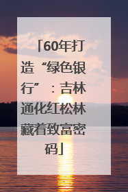 60年打造“绿色银行”：吉林通化红松林藏着致富密码