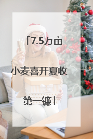 7.5万亩小麦喜开夏收第一镰