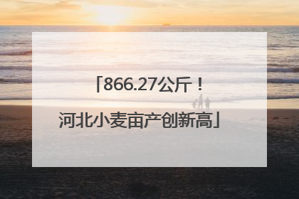 866.27公斤！河北小麦亩产创新高