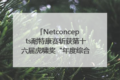 Netconcepts耐特康赛斩获第十六届虎啸奖“年度综合服务商”大奖