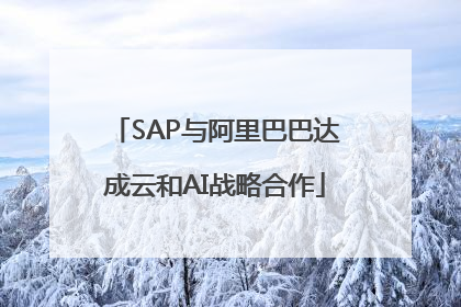 SAP与阿里巴巴达成云和AI战略合作